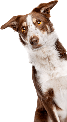 packages right shape