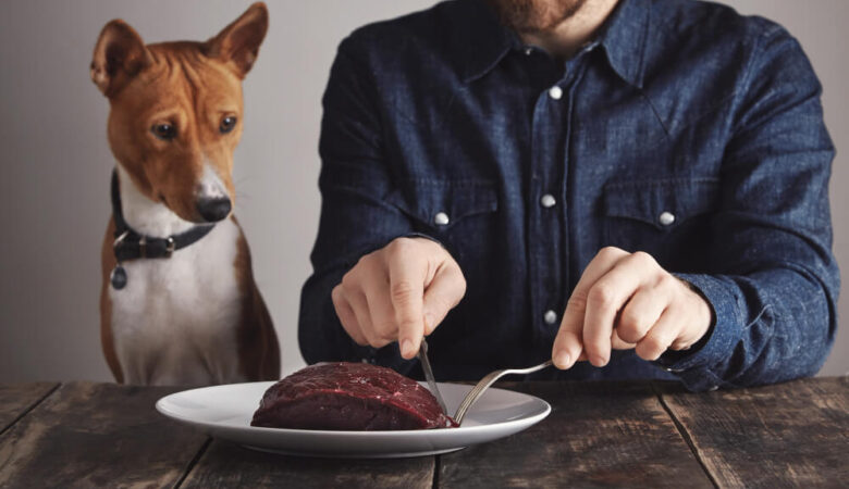 Is my dog allergic to chicken?