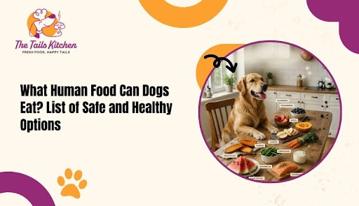 What Human Food Can Dogs Eat? List of Safe and Healthy Options