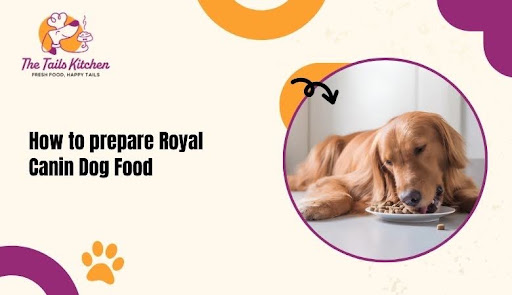 How to prepare Royal Canin Dog Food
