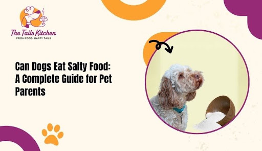 Dogs Eat Salty Food