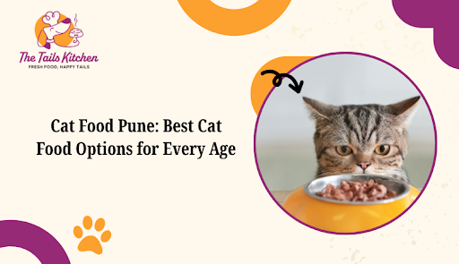 Cat Food Pune