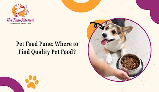 Pet Food Pune