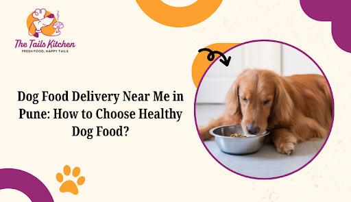 Dog Food Delivery Near Me in Pune: How to Choose Healthy Dog Food?
