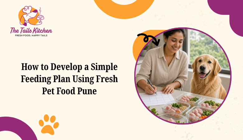 How to Develop a Simple Feeding Plan Using Fresh Pet Food Pune