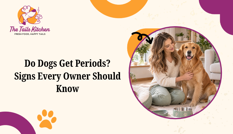 Do Dogs Get Periods? Signs Every Owner Should Know