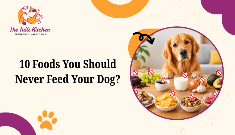 10 Foods You Should Never Feed Your Dog?