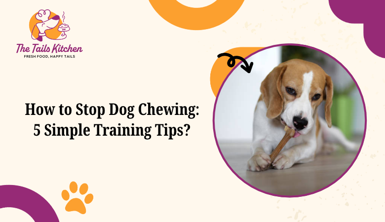 Stop Dog Chewing