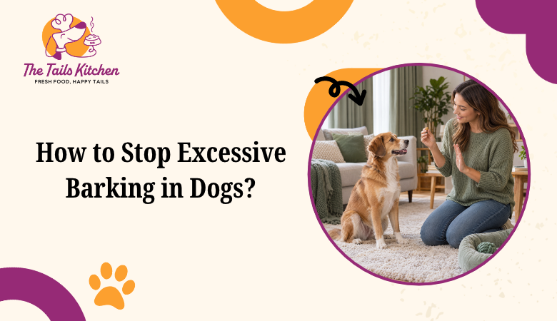 How to Stop Excessive Barking in Dogs?